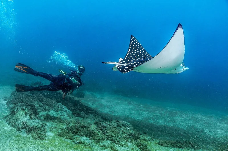 Discover Scuba at Las Caletas