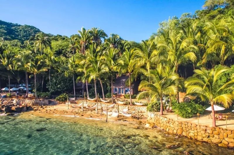 Tall palm trees shading a sandy grove behind a stone sea wall and clear water
