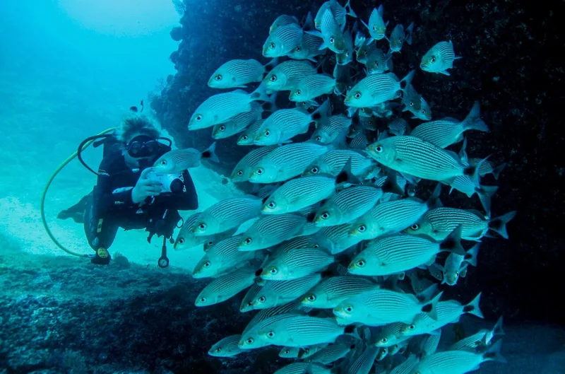 Discover Scuba at Las Caletas