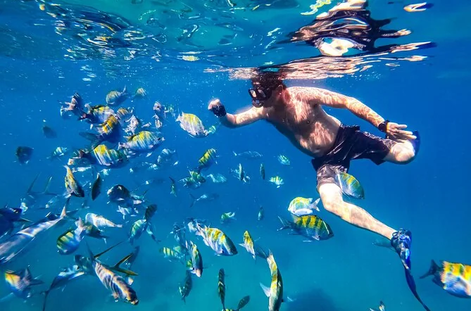 A snorkeller swimming among a large school of striped tropical fish