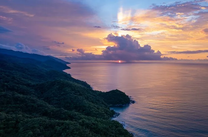 A jungle coastline under a pink and orange sunset sky above the sea