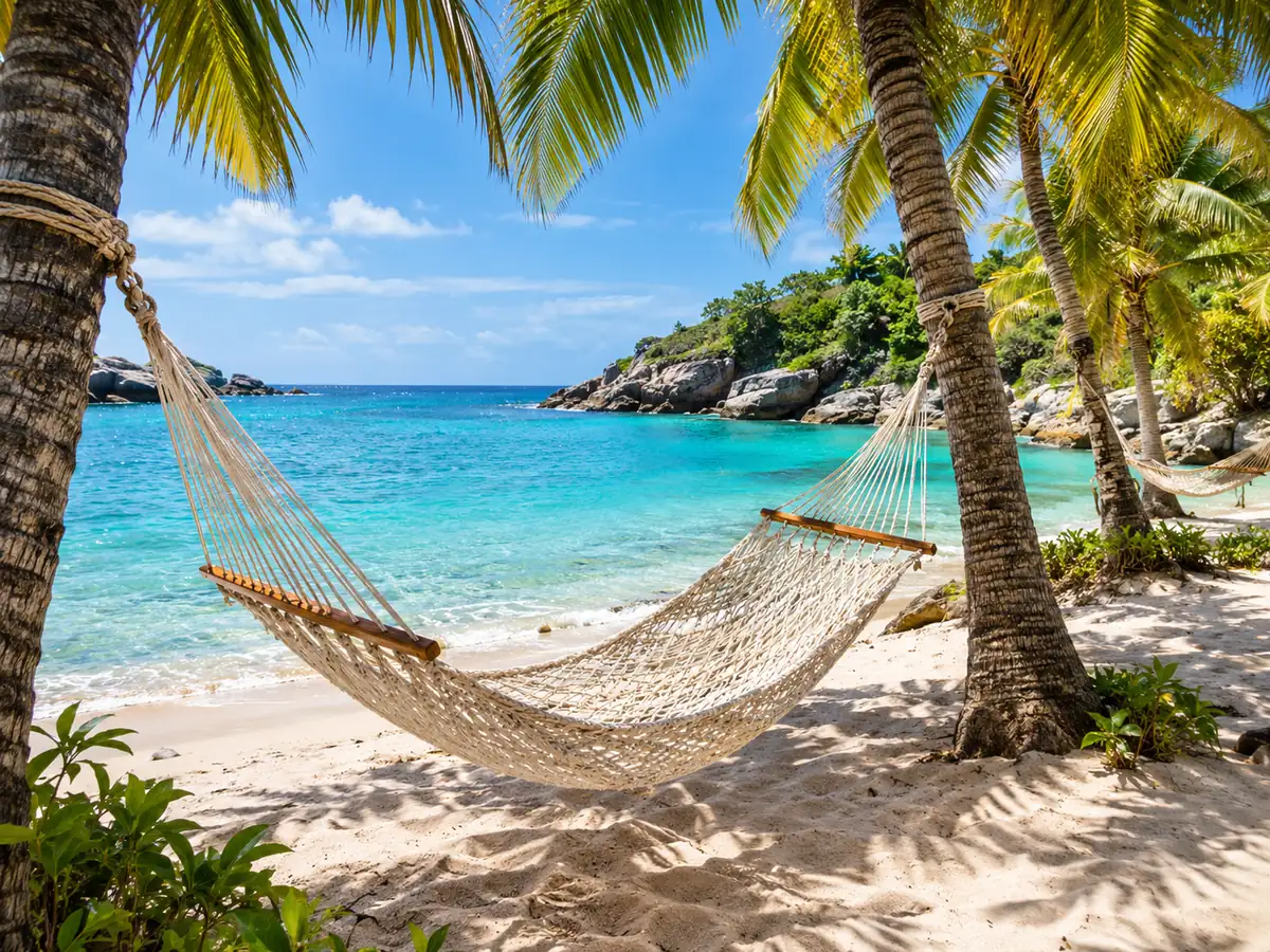 A rope hammock strung between palms on a sunny tropical beach
